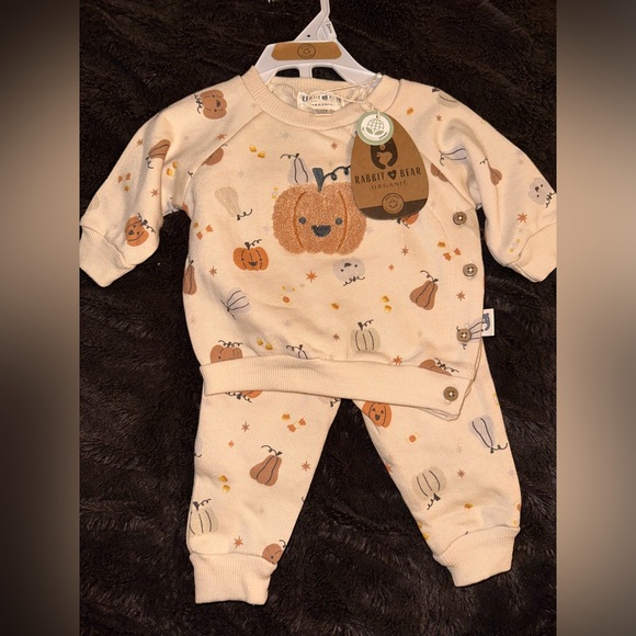 Rabbit and bear pumpkin outfit - Picture 1 of 1